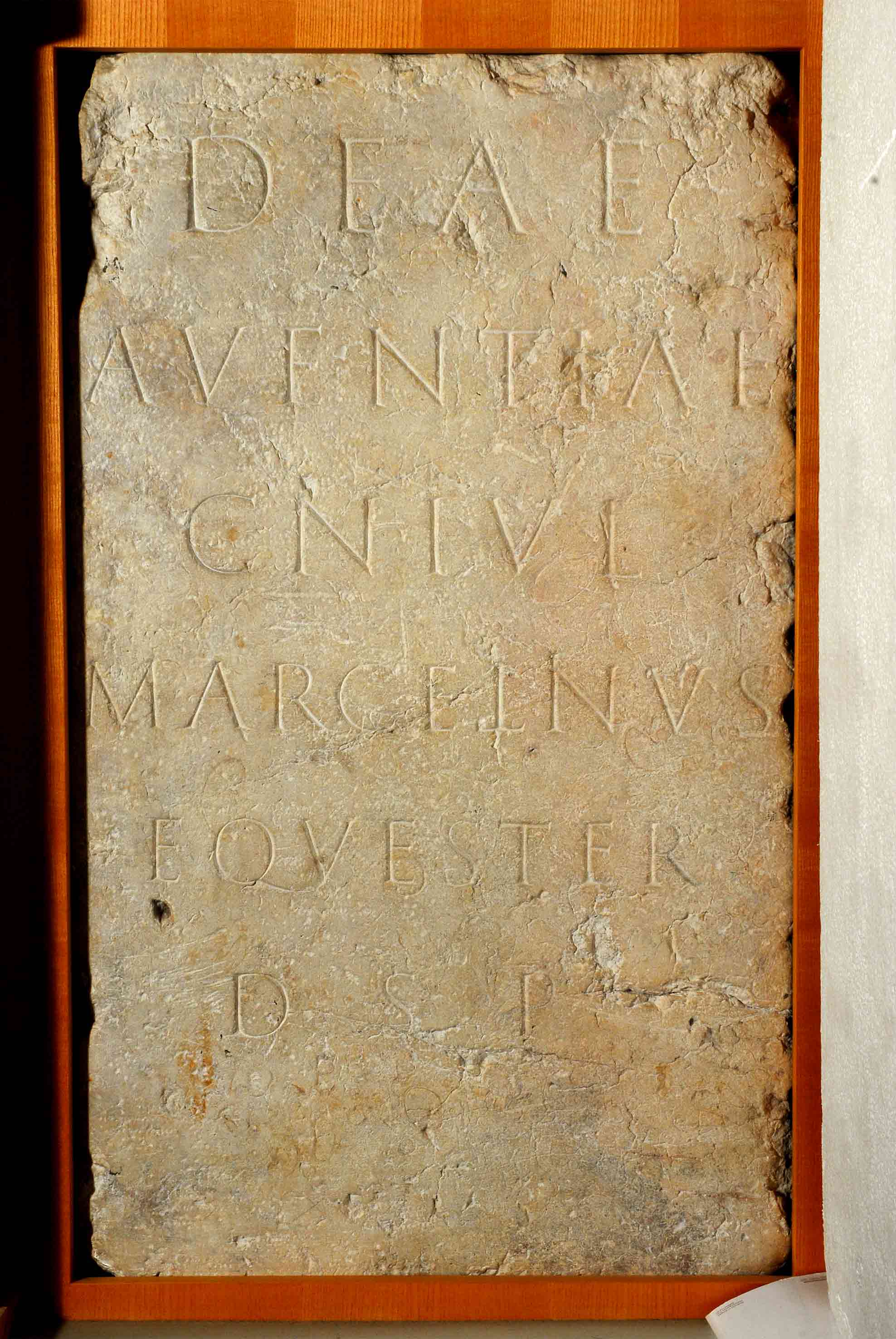 7.1 inscription Aventia